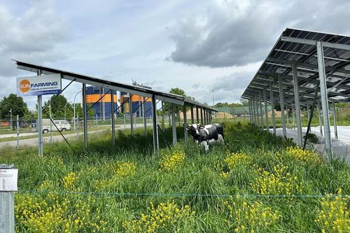 Latest company news about Report: EU must implement policies to define and support ‘nature-inclusive solar’